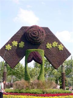 Topiary Photos